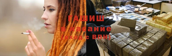 шишки Арсеньев