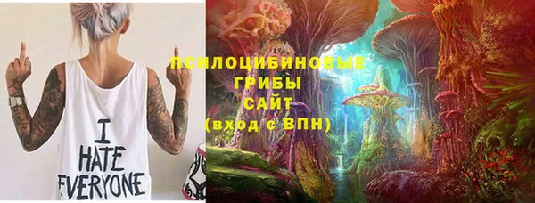 шишки Арсеньев