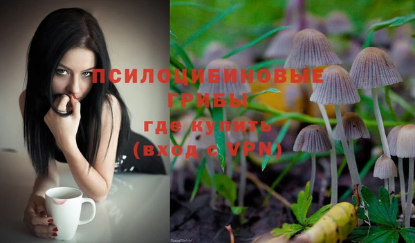 соль курить ск Алзамай