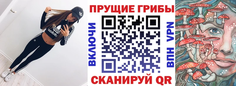 omg рабочий сайт это Telegram Псилоцибиновые грибы ЛСД Гуково
